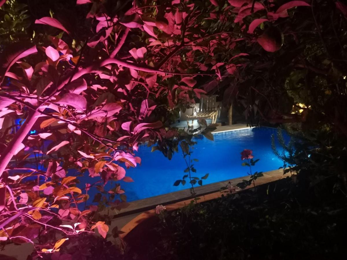 Avec Terrasse Privee Et Piscine Partagee A 300m Apartment